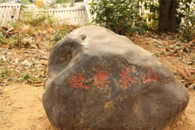 古六大茶山攸樂(lè)茶區(qū)之龍帕普洱茶