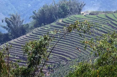 古域小戶賽：快樂(lè)拉祜靈氣古茶