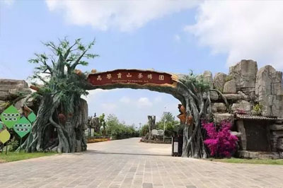 騰沖高黎貢山茶博園入選2019中國(guó)美麗茶園