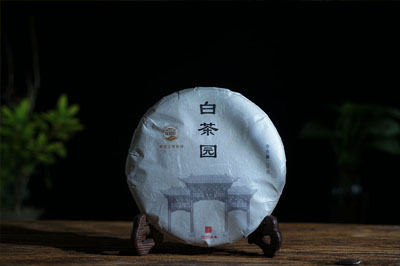 彎弓白茶園，彎弓古樹中的精品