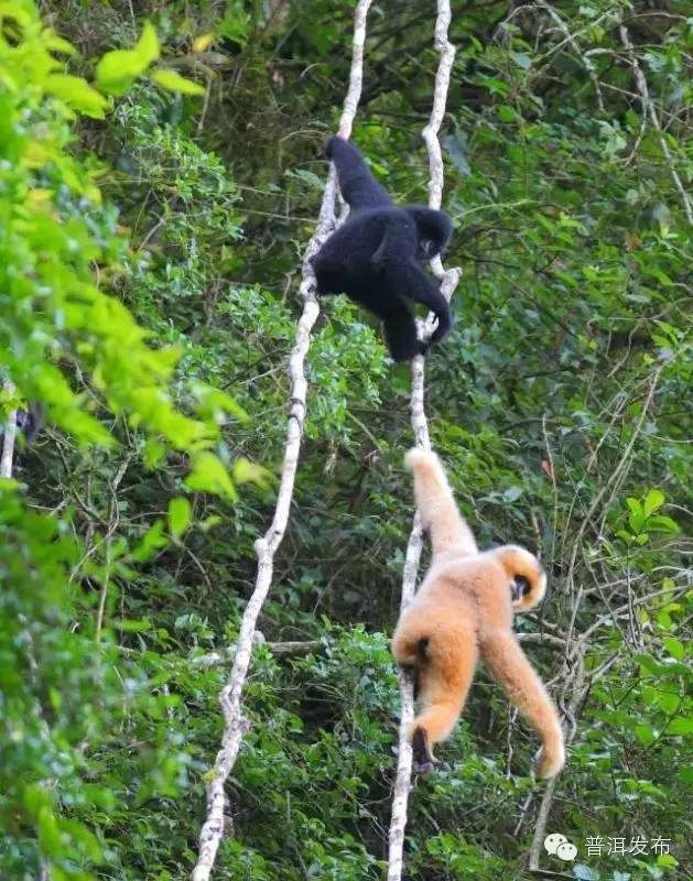 帶你到《天龍八部》里神仙姐姐曾隱居的世外桃源走一轉(zhuǎn)