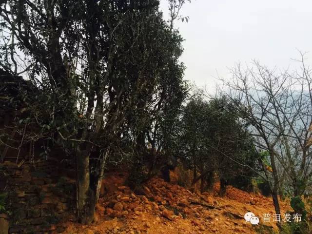 帶你到《天龍八部》里神仙姐姐曾隱居的世外桃源走一轉(zhuǎn)