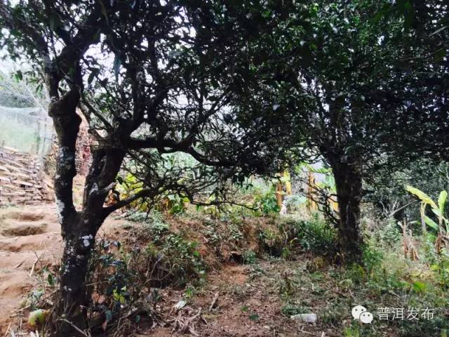 帶你到《天龍八部》里神仙姐姐曾隱居的世外桃源走一轉(zhuǎn)