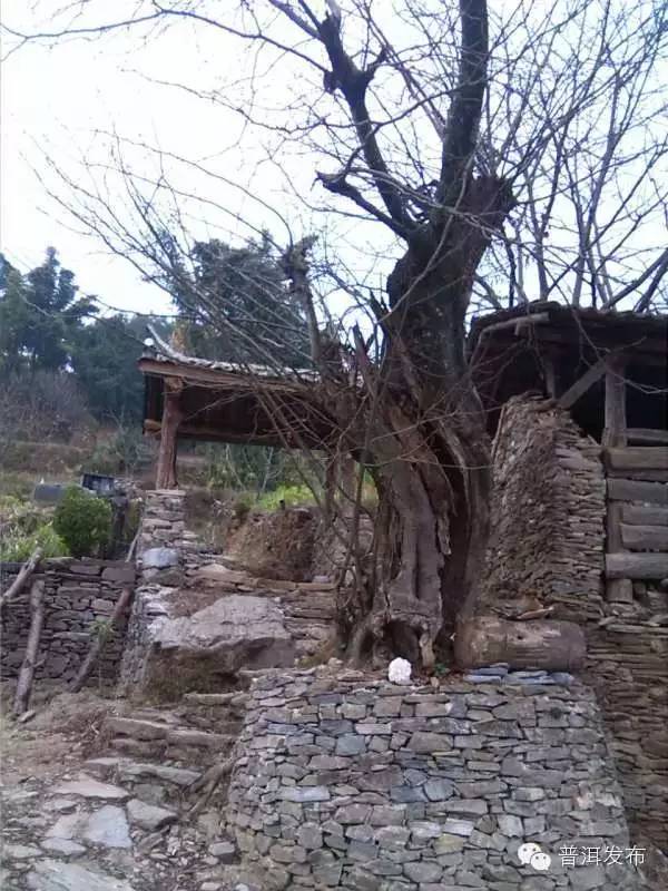 帶你到《天龍八部》里神仙姐姐曾隱居的世外桃源走一轉(zhuǎn)