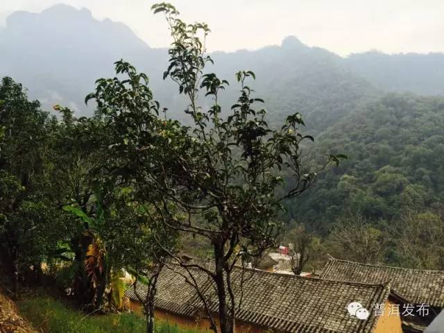 帶你到《天龍八部》里神仙姐姐曾隱居的世外桃源走一轉(zhuǎn)