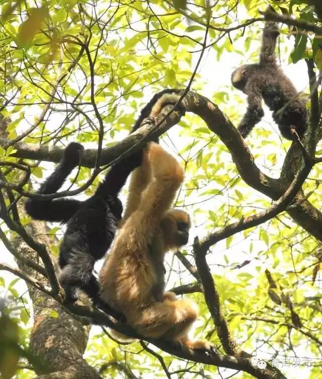 帶你到《天龍八部》里神仙姐姐曾隱居的世外桃源走一轉(zhuǎn)