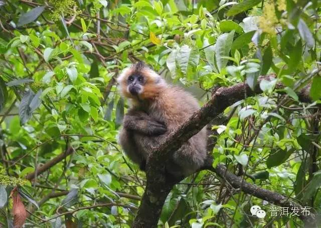 帶你到《天龍八部》里神仙姐姐曾隱居的世外桃源走一轉(zhuǎn)
