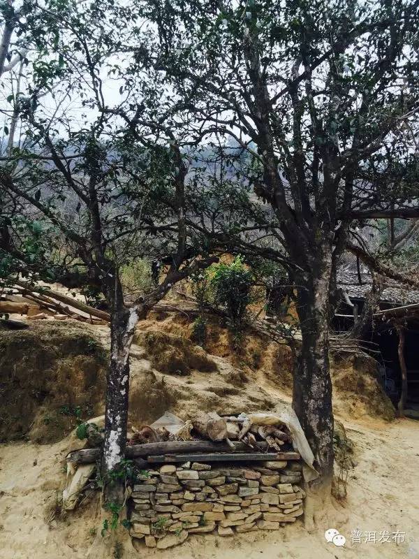 帶你到《天龍八部》里神仙姐姐曾隱居的世外桃源走一轉(zhuǎn)