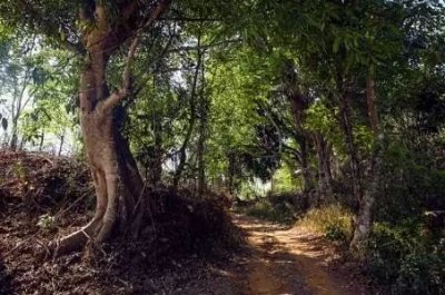 歷經(jīng)繁華興旺，不忘易武彎弓