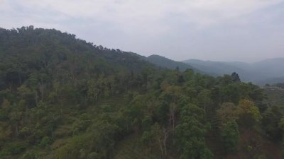 革登馬鞍今猶在，王者歸來直蚌還