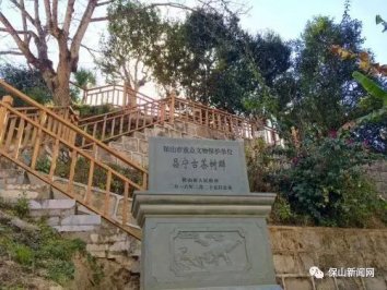 黃家寨古茶園被授予“魅力古茶園”稱號