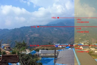 懂過茶跟磨烈茶區(qū)別：失之毫厘，差之千里