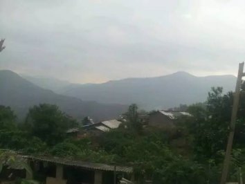 易武銅箐河普洱茶介紹，銅箐河古樹茶口感特點(diǎn)