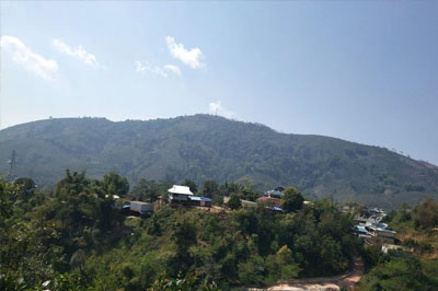 基諾山司土老寨古茶山尋茶記一一攸樂同知