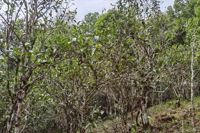 漢族丁家寨與一扇磨無(wú)關(guān)