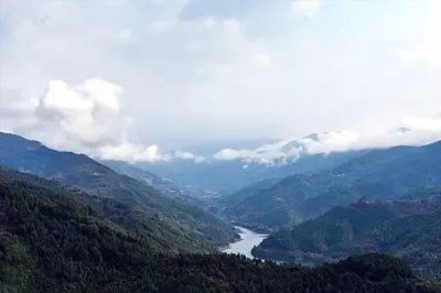 懂過，普洱茶圈性價比最高的古樹茶