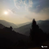 勐庫(kù)小戶賽茶葉特點(diǎn)介紹