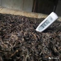 ?輕發(fā)酵熟茶，一場(chǎng)傳統(tǒng)工藝的復(fù)歸