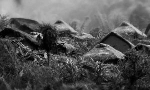 讓人又痛又愛(ài)的老班章普洱茶