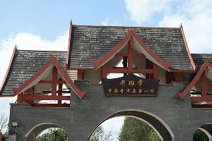 老班章茶農(nóng)普洱茶哪家好，六嘎古樹(shù)老班章