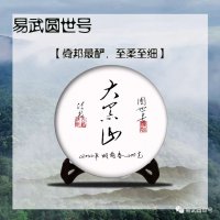 圓世號(hào)倚邦之巔——大黑山古樹(shù)單株