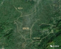 蟒蛇箐｜茶味天成的山野隱士，難以拒絕的易武古樹(shù)茶